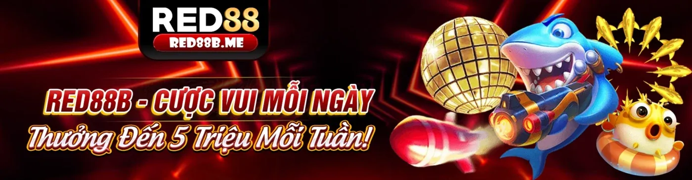 Hỗ trợ chuyên nghiệp